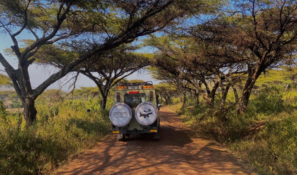 Our Luxury Safari Jeeps